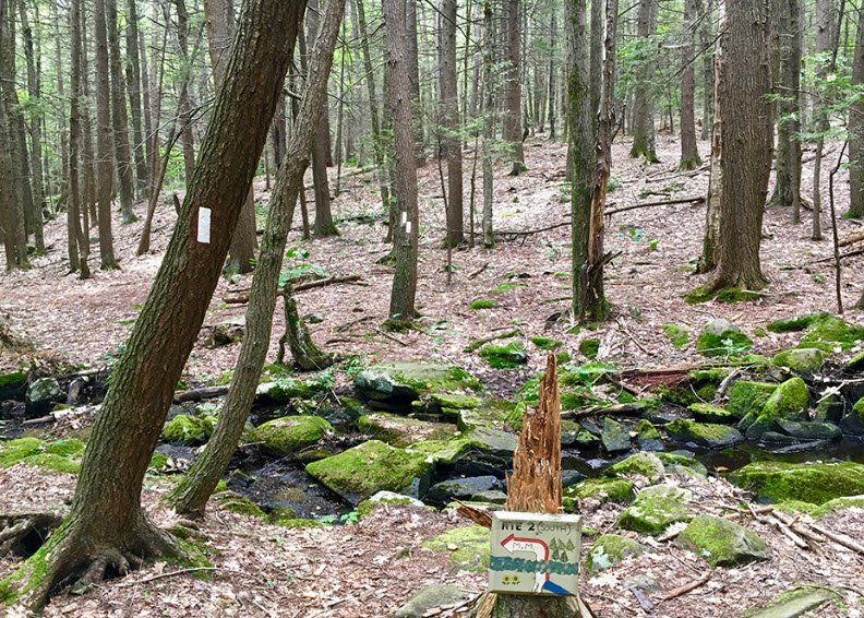 Mount Grace State Forest, Massachusetts, USA